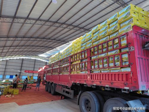 愛心助農(nóng),勐臘電商在行動(dòng)